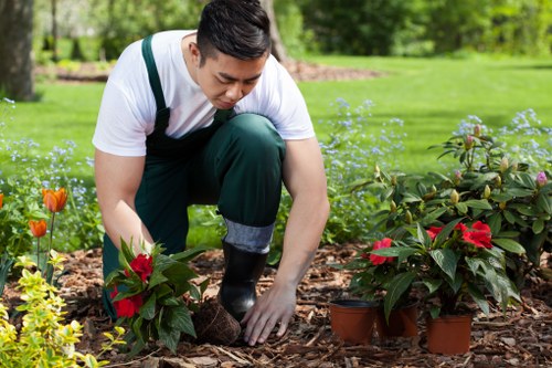 Person using a screen reader and keyboard to browse gardening services